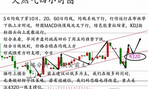 天然气现货行情走势图_天然气行情分析及操