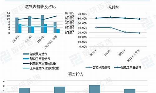 燃气公司数据分析_燃气信息化市场分析报告怎么写的